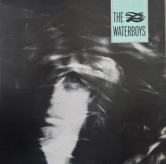 The Waterboys – The Waterboys