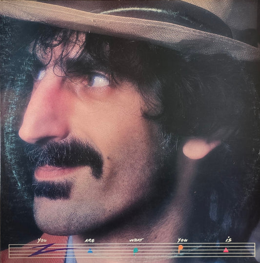 Frank Zappa – You Are What You Is