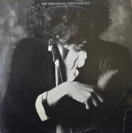 The Waterboys – This Is The Sea