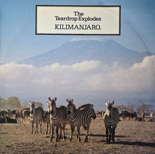 The Teardrop Explodes – Kilimanjaro