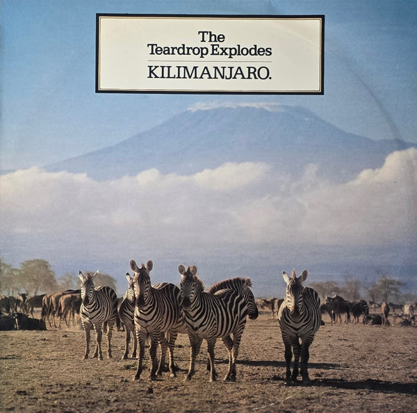 The Teardrop Explodes – Kilimanjaro