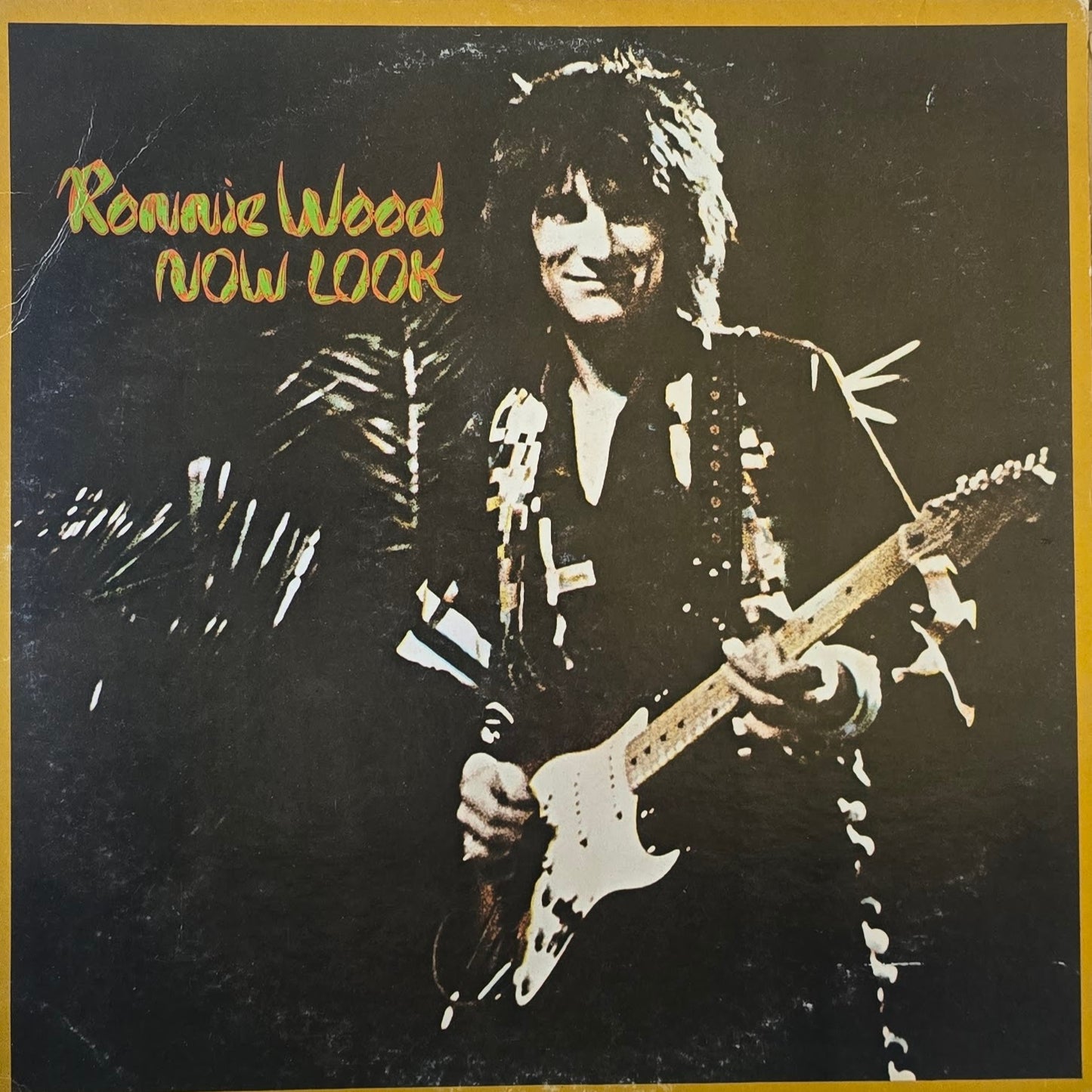 Ronnie Wood – Now Look