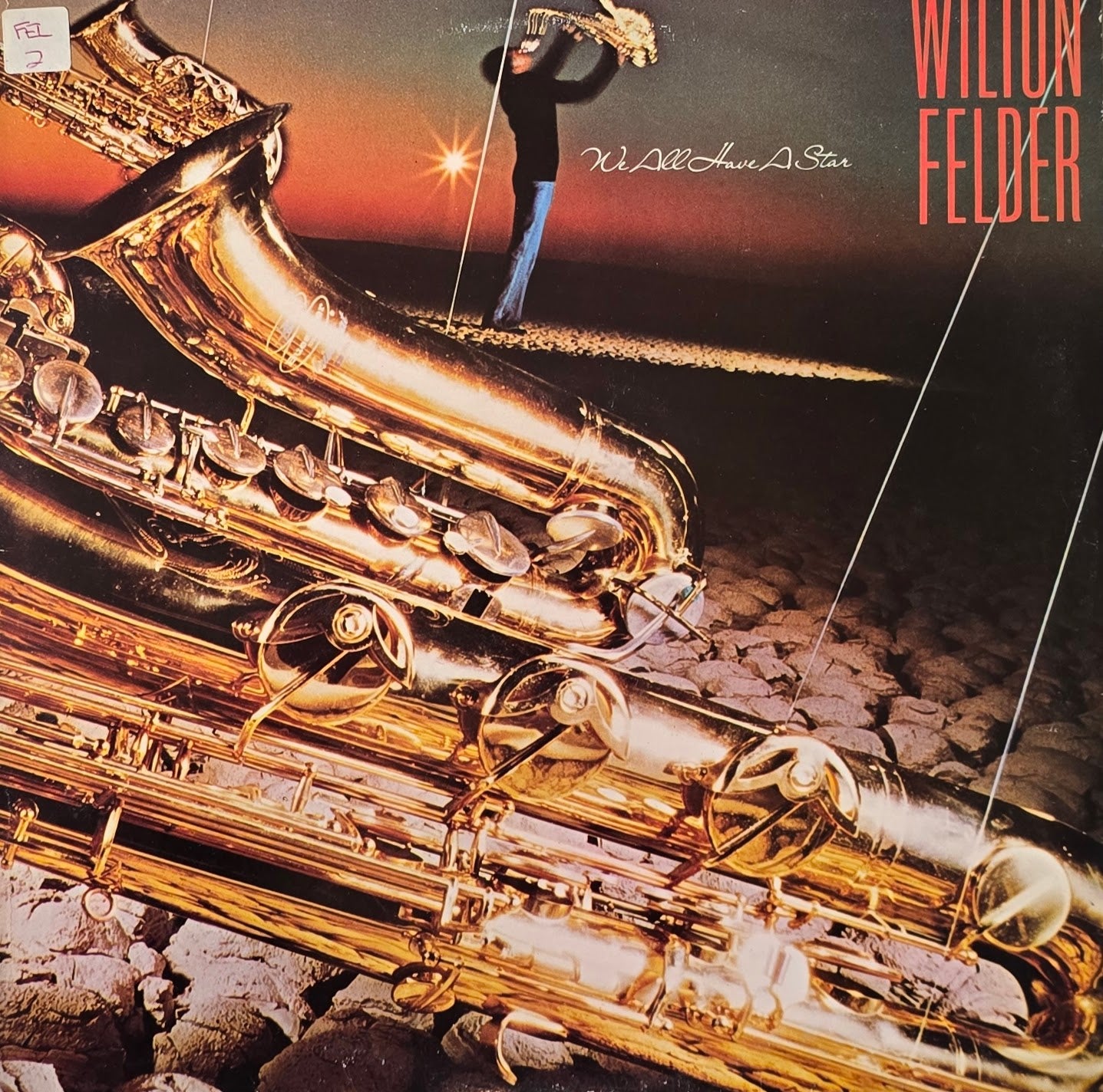 Wilton Felder – We All Have A Star