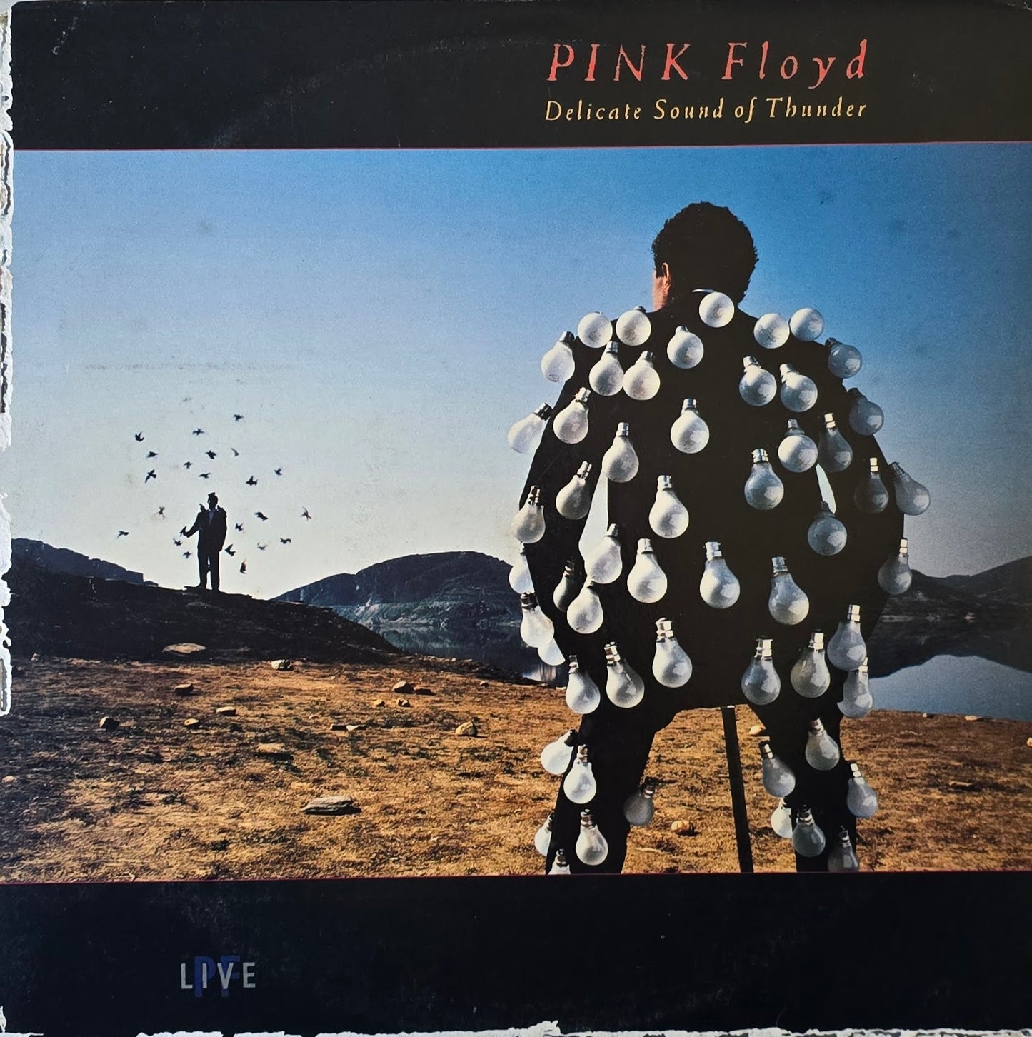 Pink Floyd – Delicate Sound Of Thunder