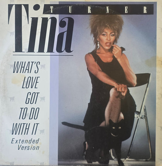 Tina Turner – What's Love Got To Do With It / Don't Rush The Good Things