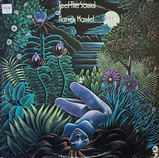 Harvey Mandel – Feel The Sound Of Harvey Mandel