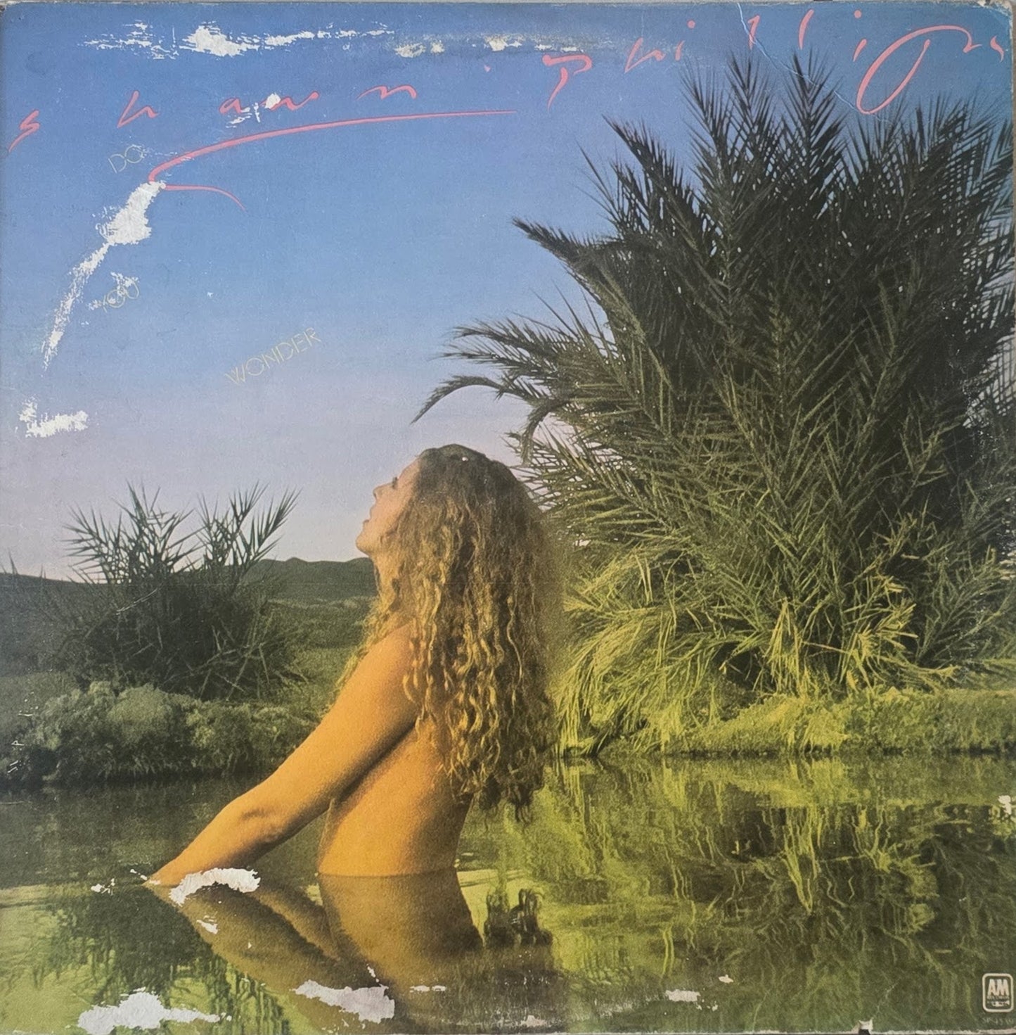 Shawn Phillips  – Do You Wonder
