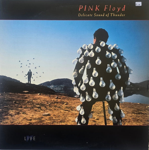 Pink Floyd – Delicate Sound Of Thunder