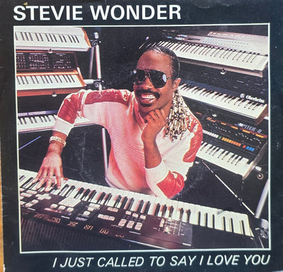 Stevie Wonder – I Just Called To Say I Love You