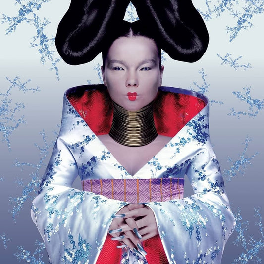 Björk – Homogenic
