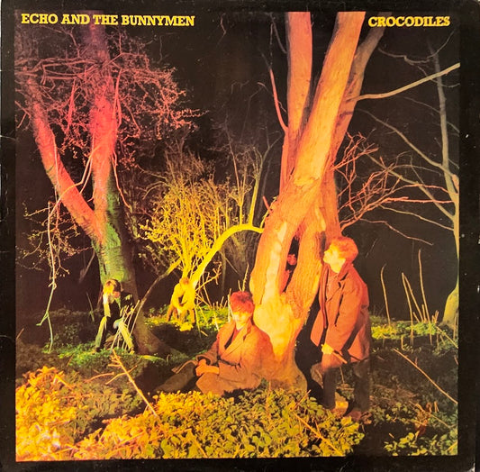 Echo And The Bunnymen – Crocodiles
