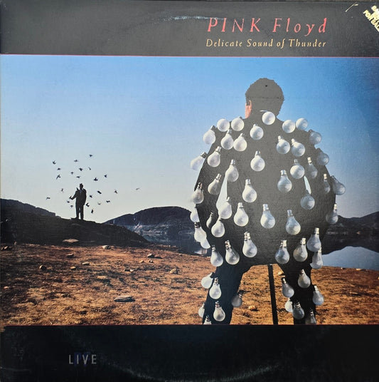 Pink Floyd – Delicate Sound Of Thunder