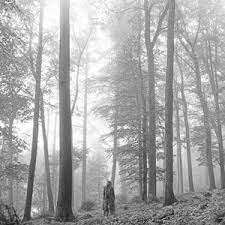 Taylor Swift - Folklore ( In the Trees version)