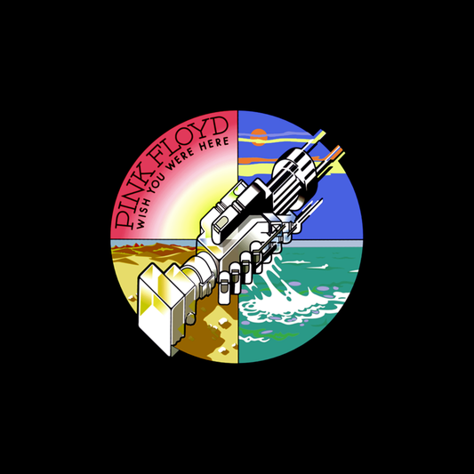 Pink Floyd – Wish You Were Here