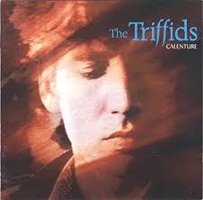 The Triffids – Calenture (Blue)