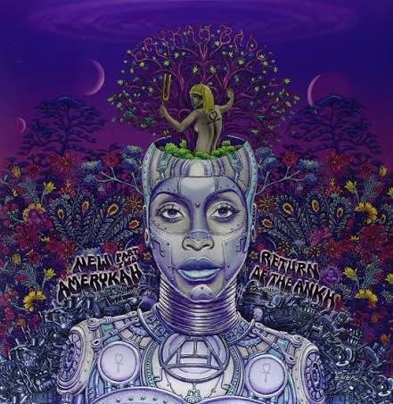 Erykah Badu – New Amerykah Part Two: Return Of The Ankh (Purple)