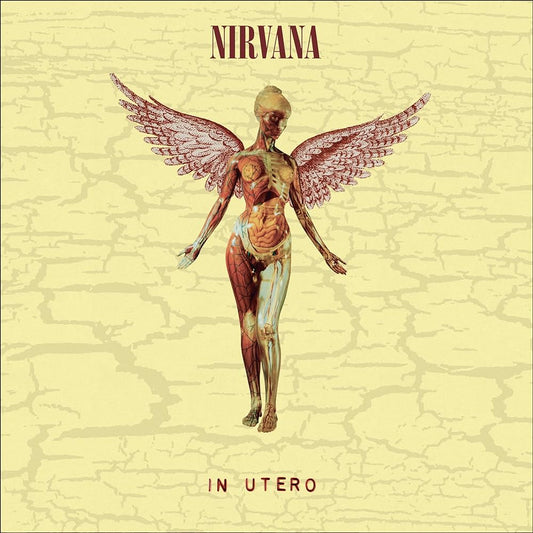 Nirvana - In Utero 30th Anniversary Edition
