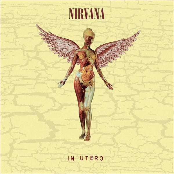 Nirvana - In Utero 30th Anniversary Edition