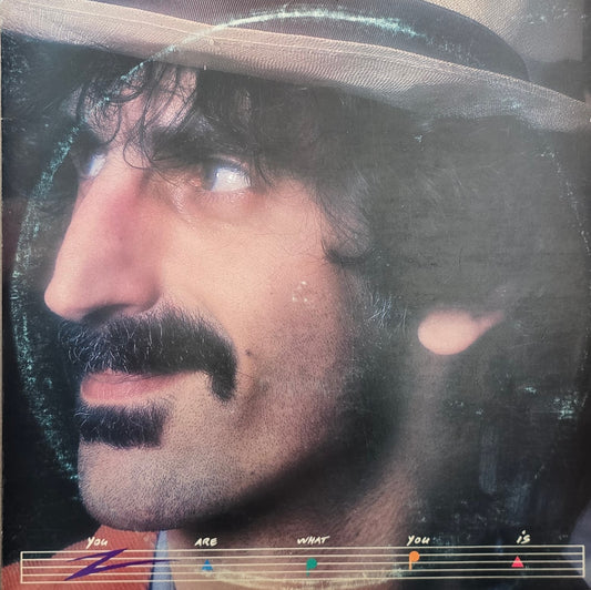 Frank Zappa – You Are What You Is